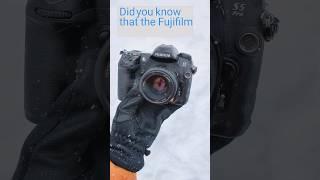 Perfect for a snowy day