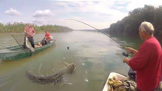 Pecanje soma, šarana i bele ribe na Savi | Fishing catfish and carp in river Sava - FULL VIDEO