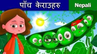 पाँच केराउहरु | The Five Peas in a Pod | Nepali Story | Nepali Fairy Tales | Wings Music Nepal