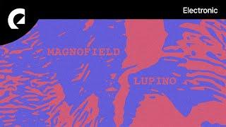 Magnofield - Lupino