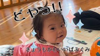 【保育園】0歳児　きょうもかわいいばぶぐみ