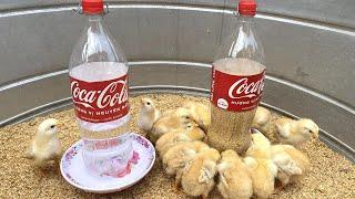 Easy And Zero Cost! Make Chicks Feeder And Drinker From Plastic Bottles