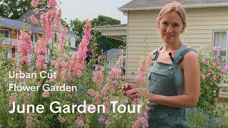 June Garden Tour | Our urban cut flower garden spring tour