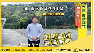 【#二手筍盤 壹號雲頂 1084呎 放售】物業代理TOMMY TAM帶你睇筍盤