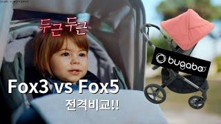 부가부 Fox3 vs Fox5 장, 단점 비교분석!!