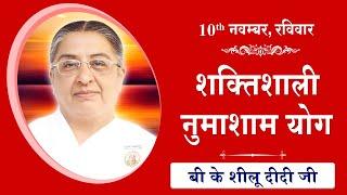 LIVE: नुमाशाम का योग | Evening Meditation  COMMENTARY के साथ | BK Sheilu Didi Ji | 10 Nov 2024