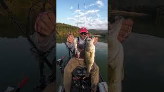 This swimbait Catches GIANTS  #bassfishing #kayakfishing #kayakbassfishing #swimbait