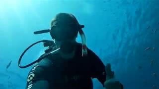 Elite Diving - The Red Sea in Egypt