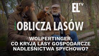 Wolpertinger. Co kryją lasy gospodarcze nadleśnictwa Spychowo? | OBLICZA LASÓW #133