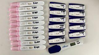 PREGNANCY TEST LINE PROGRESSION | 7 - 18 DPO | FIRST RESPONSE & FIRST SIGNAL |Entwistle Family Vlogs