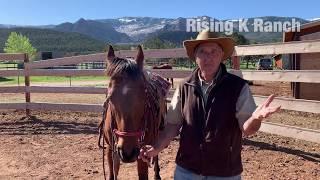 Rising K Ranch Video Review