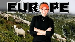 SHEPHERDING IN EUROPE. (Documentary) France, Switzerland, Italy Swiss Alps Sheep Farming Shepherding