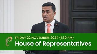 11th Sitting of the House of Representatives - 5th Session - November 22, 2024