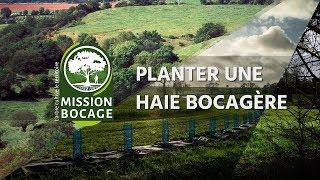 Planter une haie bocagère - Mission Bocage