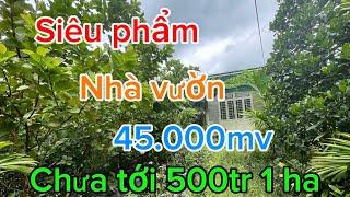 Siêu phẩm nhà vườn gần sông đồng Nai