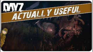 8 USEFUL Tips & Tricks No One Ever Told You in DayZ