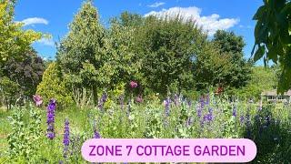 Zone 7 Cottage Gardening