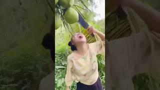 A girl's dangerous job