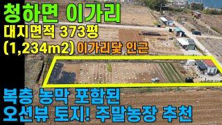 [매물번호446]#포항부동산 청하면 포항 바닷가 오션뷰 바다뷰 토지 최고 좋은 시골 귀농 귀촌 촌집 농막 농어촌 농가형 영구조명 높은지대 바닷가 토지 토지매매 땅매매 주택부지