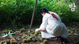 I harvested chestnuts and made chestnut Yanggaeng I eat royal snacks Yulan