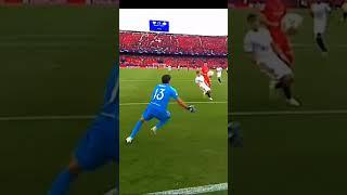 impossible goalkeeper saving the foodball