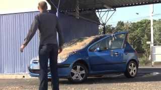 Гигантский голубь на крыше автомойки / Giant pigeon on the roof car