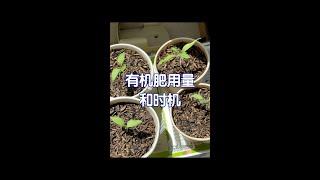 有机肥料的使用量和关键时间《有机农业》