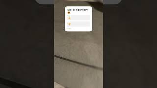 I think I did it perfect  #loop #perfectloop #fypシ゚viral
