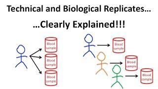 The Difference Between Technical and Biological Replicates