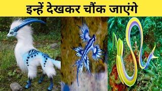 3 ऐसे जानवर  जिन्हें देखकर चौंक जाओगे | Unique Animals In The World | #shorts #animals