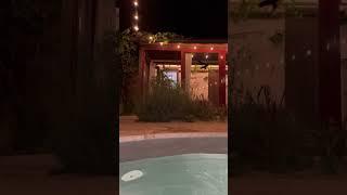 Recycled small pool. We have fulfilled our dream! We turned our small garden into a perfect oasis.