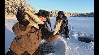 ЭТА РЫБАЛКА ДОЛЖНА БЫЛА БЫТЬ ЛУЧШЕЙ ЕСЛИ БЫ НЕ ОДНО НО. ПЕРВЫЙ ЛЁД 24-25 РЫБАЛКА. ОЗЕРО С СЕКРЕТОМ.