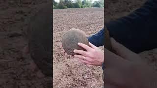 Native American Anvil field find