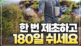 한 번 제초하고 180일 쉬세요ㅣ 잔디 빼고 다 죽는다 ㅣ 제초제 쉽게 뿌리는 방법