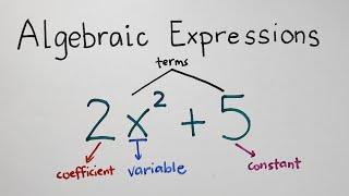 Algebraic Expression - Terms, Variables, Degree of Polynomials - Grade 7 Math Second Quarter