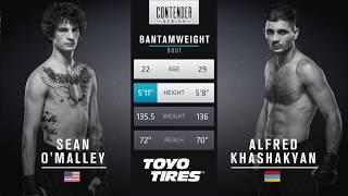 FREE FIGHT | Sean O'Malley Scores Impressive KO | DWCS Week 2 Contract Winner - Season 1