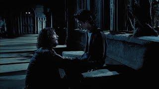 harry potter and sirius black being precious