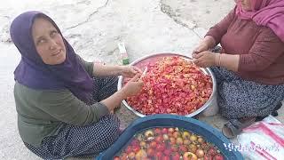 domates biber topladik karali doldurduk aşira ablayla kış hazırlık yapiyok