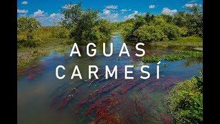 Travesía a las aguas de colores - Casanare