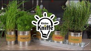 Kleine Kniffe - Kräutergarten für die Küche