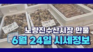 6월 24일 노량진수산시장 만물 (패류031) 시세정보 입니다. 35년 경력으로 믿고 찾아주세요