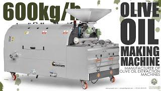 600kg/h Extra virgin olive oil making machine | Olive oil extraction machine