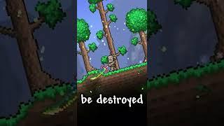 3 Terraria Facts Your Dying to know