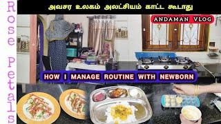 வீட்ல வேலை பார்க்கிறது அவ்ளோ ஈஸியா? How I manage routine with new born/ Rose petals