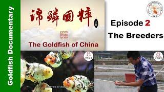 Goldfish of China 2 “The Breeders" 锦鳞国粹 