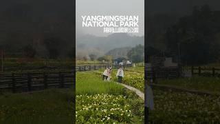 TAIWAN台湾 : Taipei YangmingshanNationalPark 台北陽明山國家公園 | BambooLake竹子湖 | XiaoyoukengRecreationArea小油坑