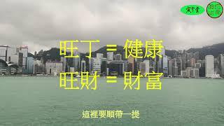 [風水]買樓揀座向 #九運樓 #旺丁旺財 #旺財不旺丁 #旺丁不旺財（中文字幕）