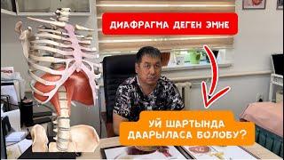 ДИАФРАГМА ЖӨНҮНДӨ? ҮЙ ШАРТЫНДА ДААРЫЛАСА БОЛОБУ?