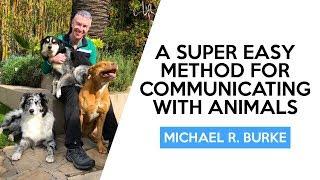 A Super Easy Method for Communicating with Animals