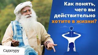 Как принять решение, о котором вы не пожалеете?